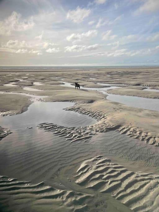 Appartement A 100M De La Plage Neufchâtel-Hardelot 外观 照片